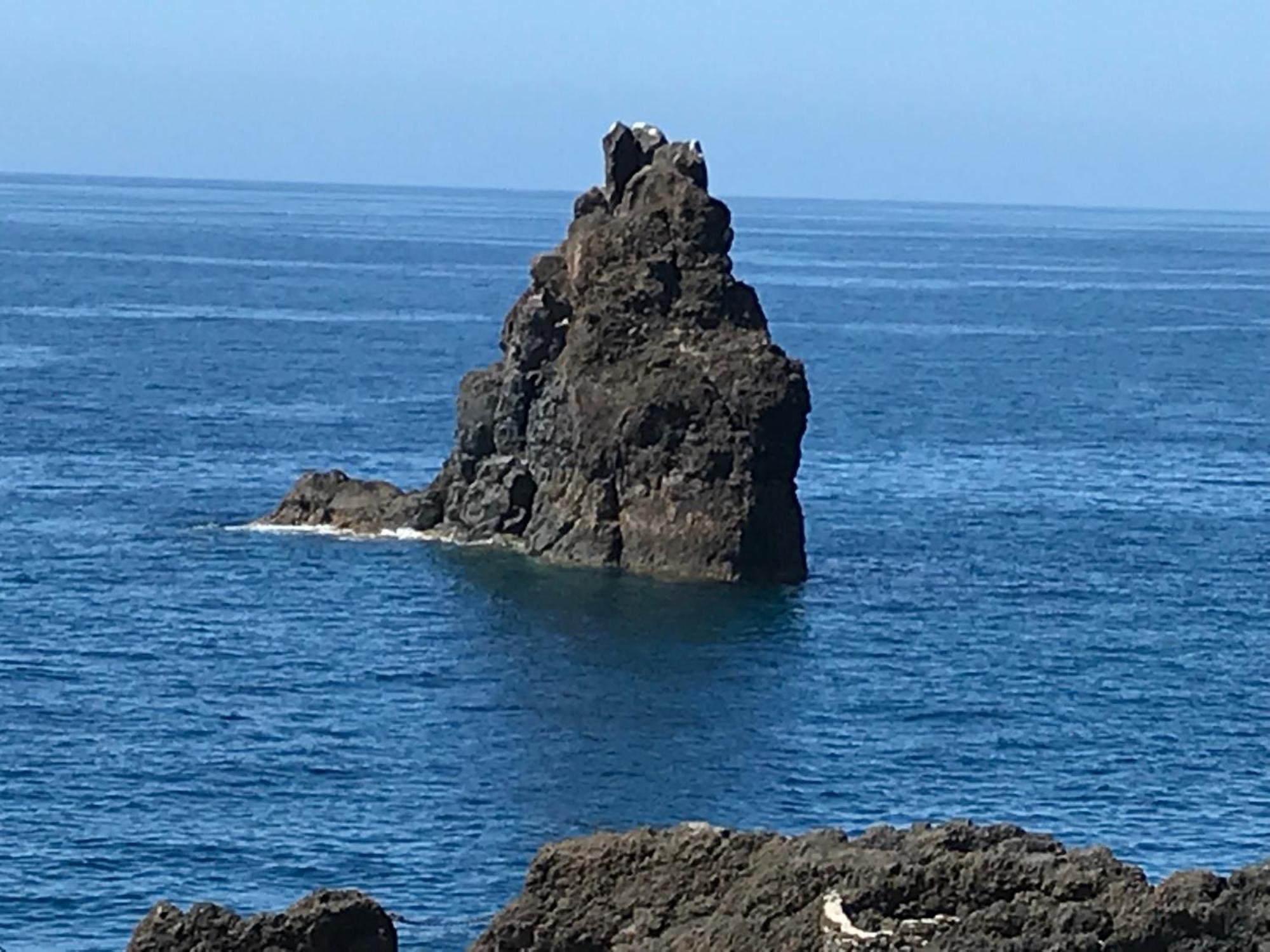 Apartamentos Do Mar Funchal Екстер'єр фото